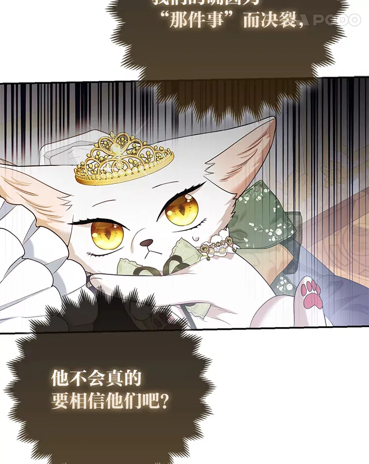 16.阿祖尔迪夫妇103
