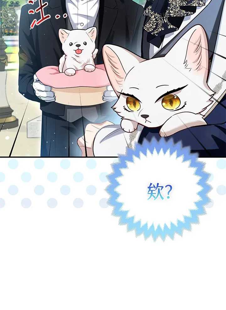 第11话40