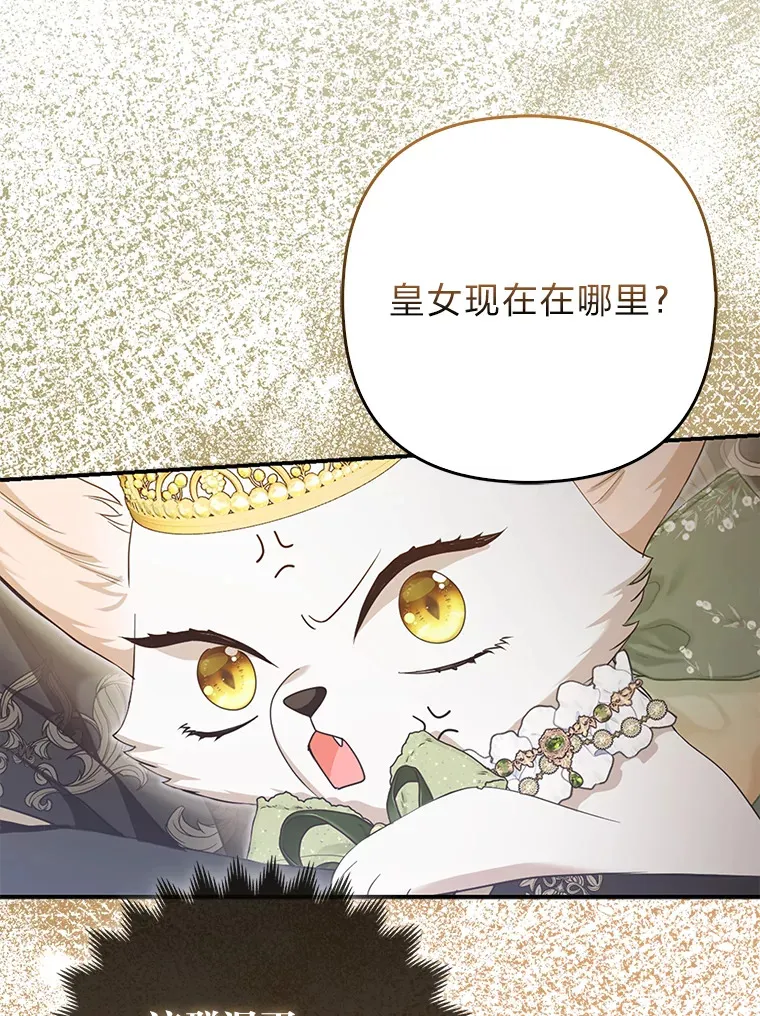 16.阿祖尔迪夫妇87