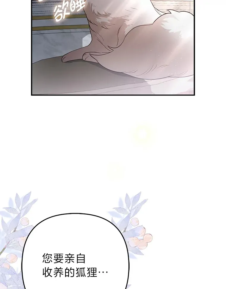 4.我的狐狸97