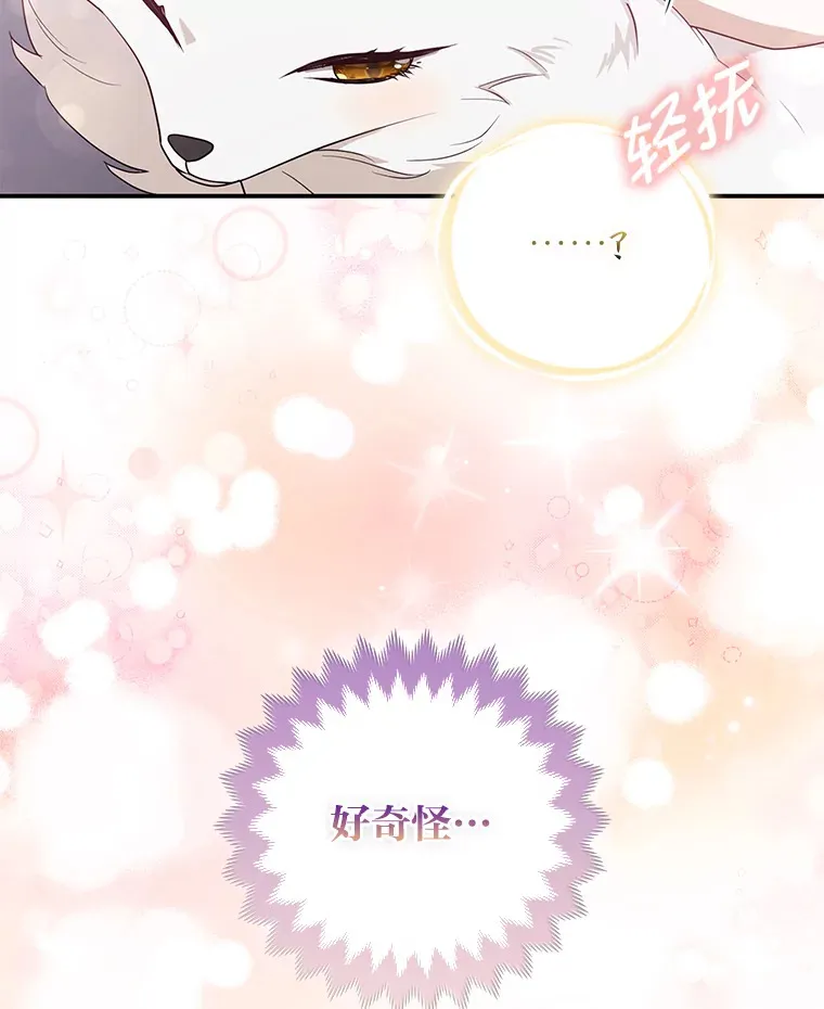 4.我的狐狸57