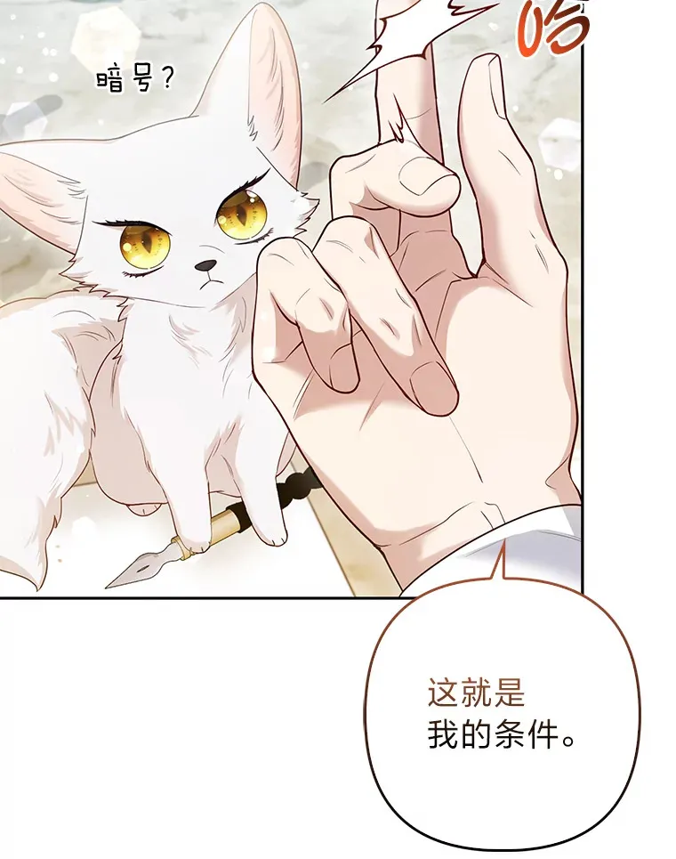 13.宴会前的准备12