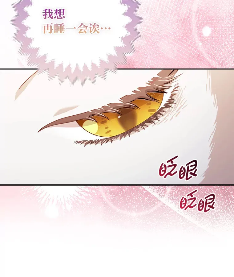 4.我的狐狸20