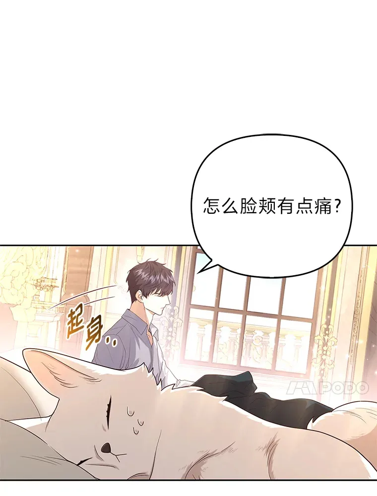 3.求收养！98