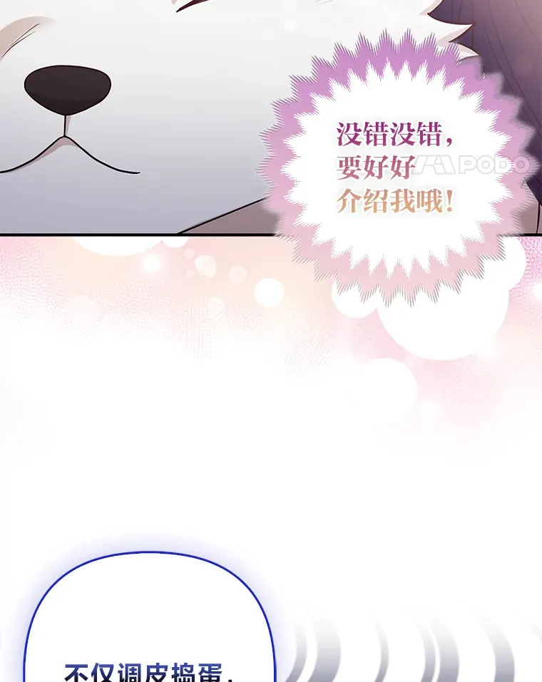 4.我的狐狸86