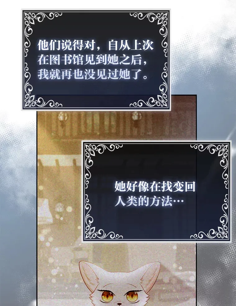 20.洛温的建议5