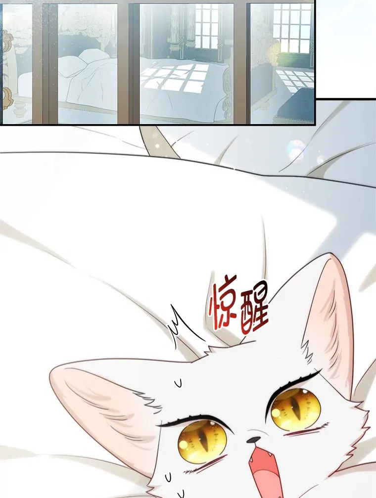 11.各自的朋友1