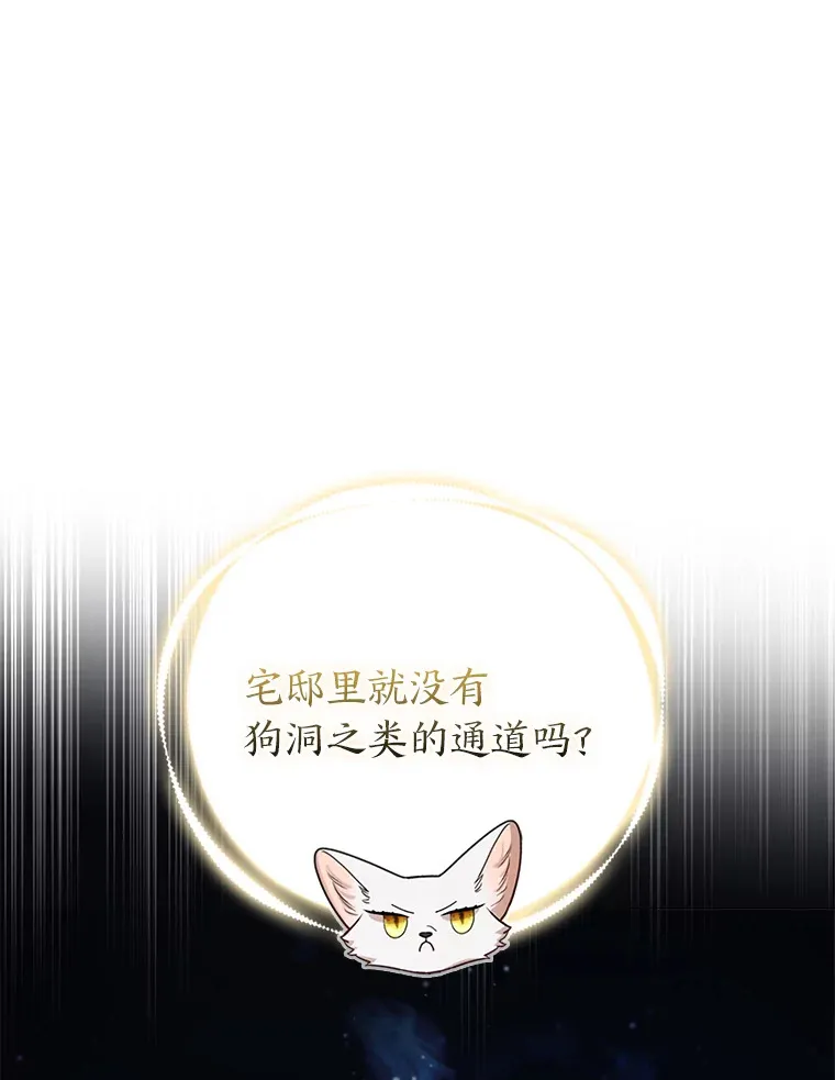 20.洛温的建议69
