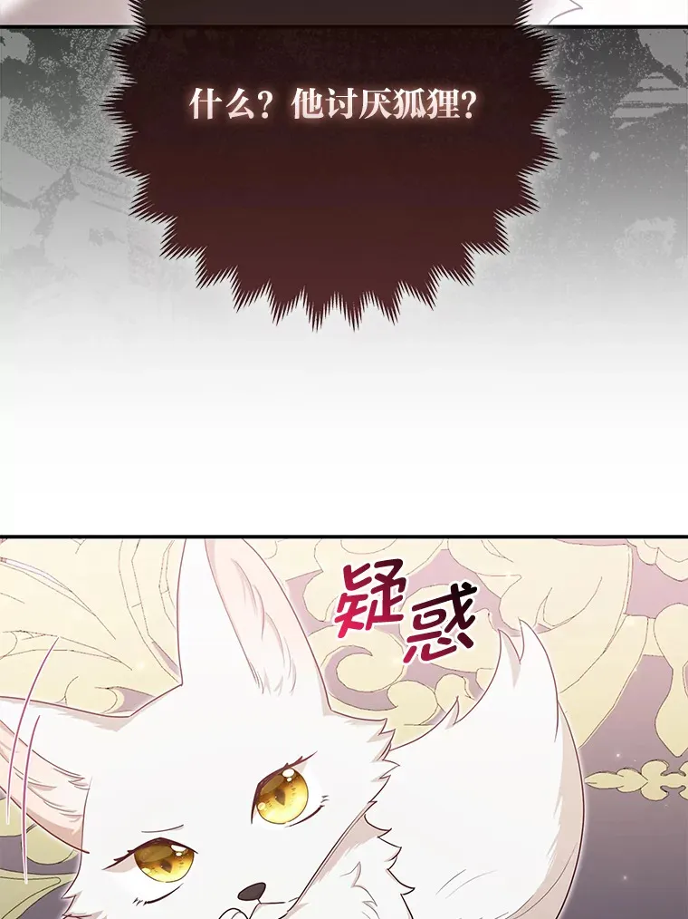 4.我的狐狸24