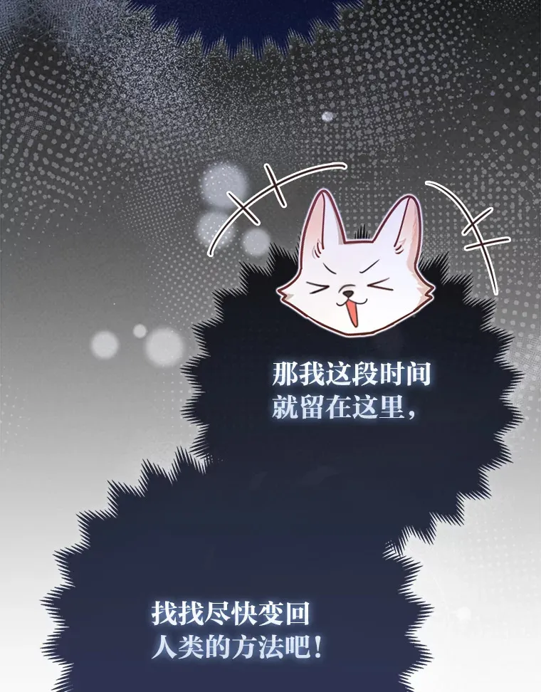 4.我的狐狸94