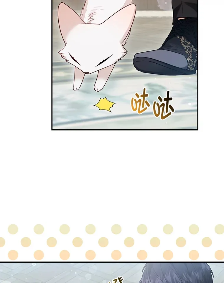 12.狐狸的撒娇卖萌69