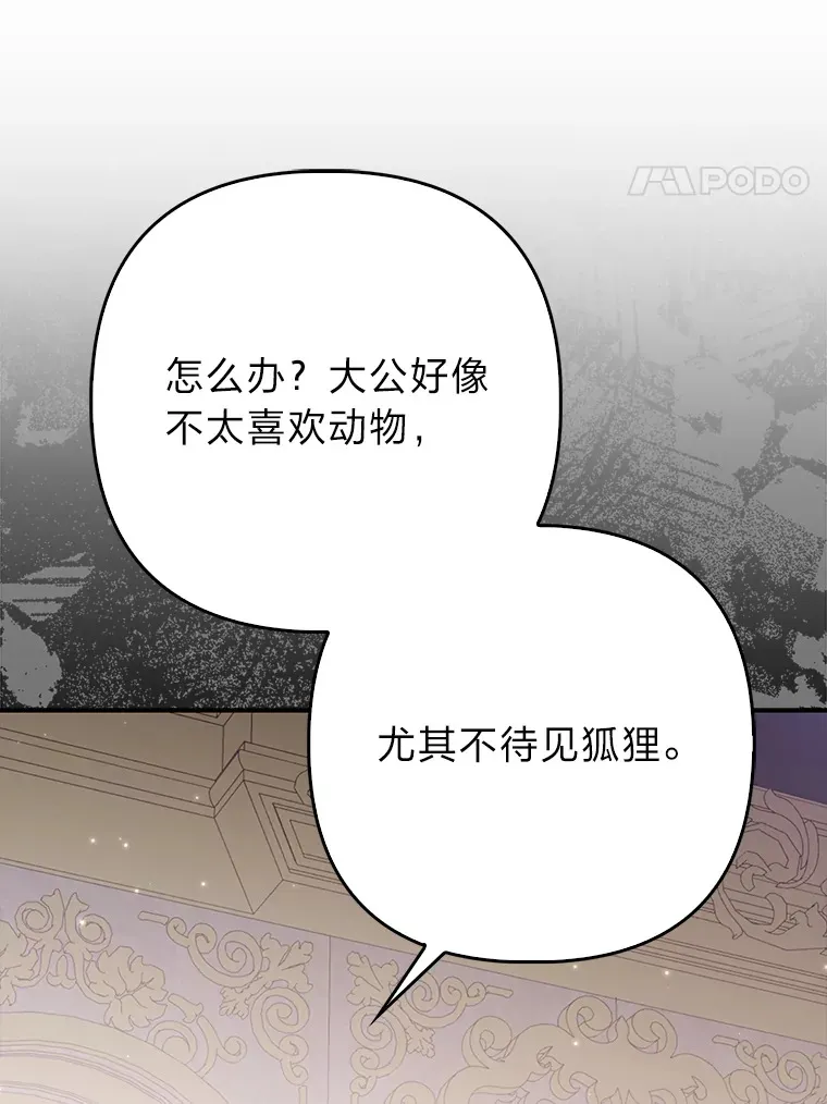 4.我的狐狸22