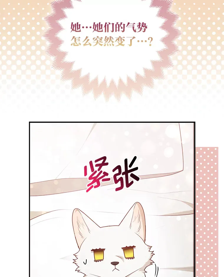 4.我的狐狸44