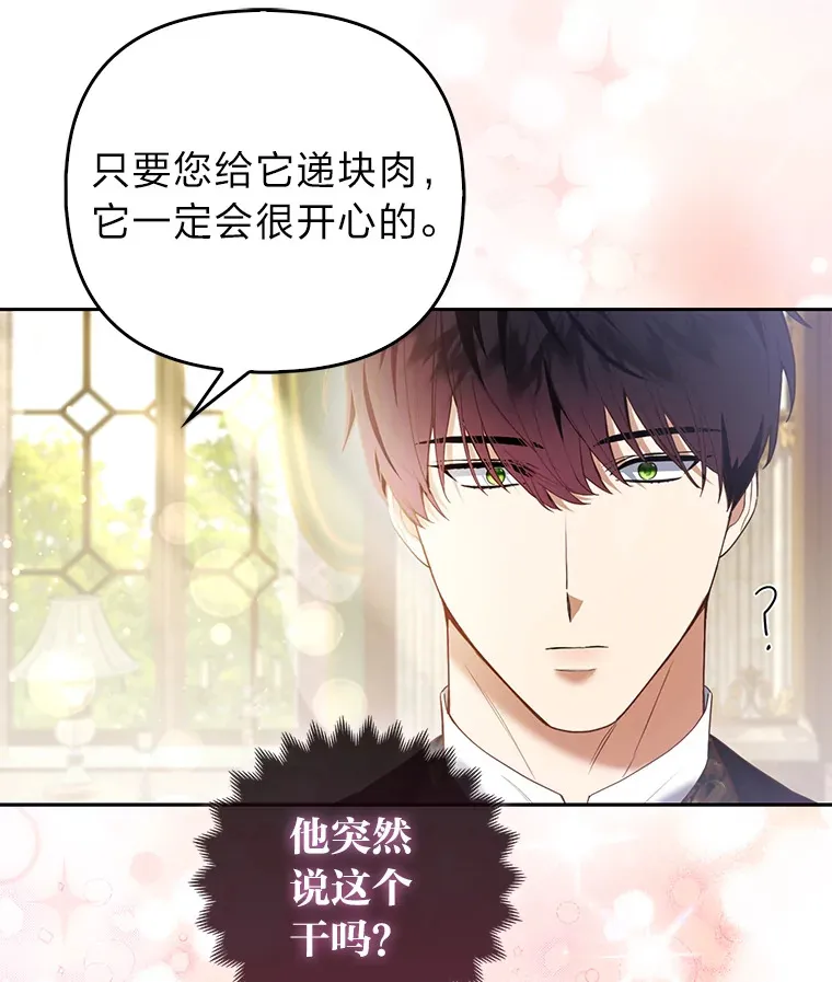 20.洛温的建议34