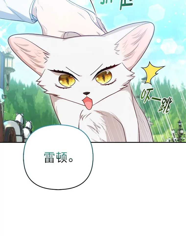 11.各自的朋友36