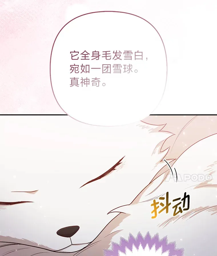 4.我的狐狸18
