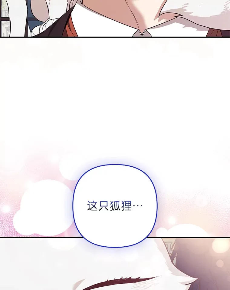 4.我的狐狸85