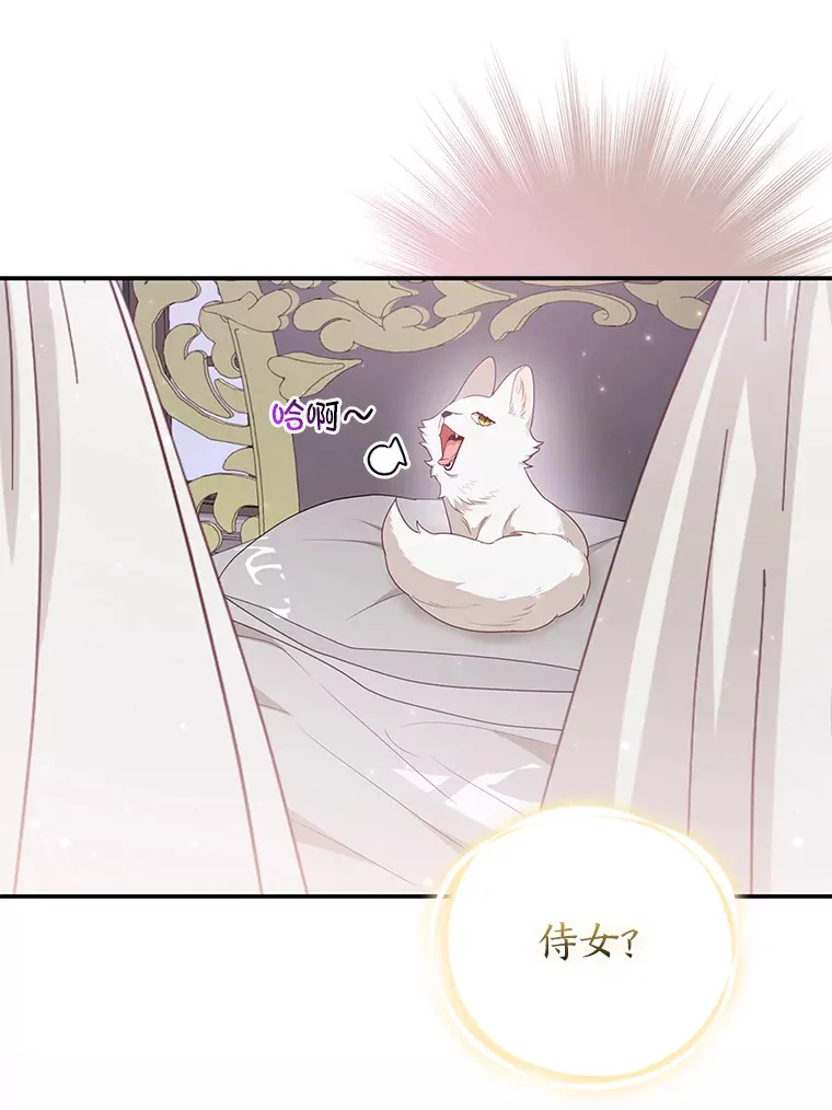4.我的狐狸21