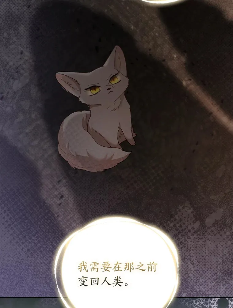 24.狐狸的贴身侍女51