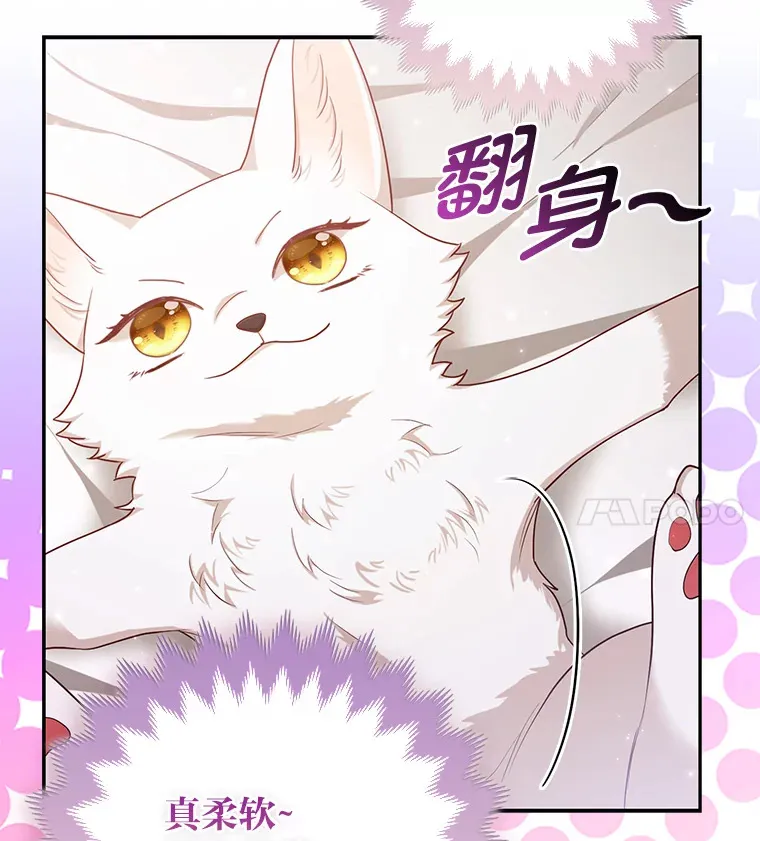4.我的狐狸10