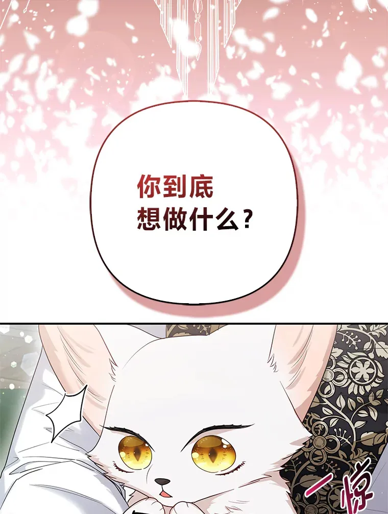 12.狐狸的撒娇卖萌99