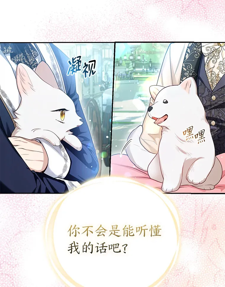 11.各自的朋友51