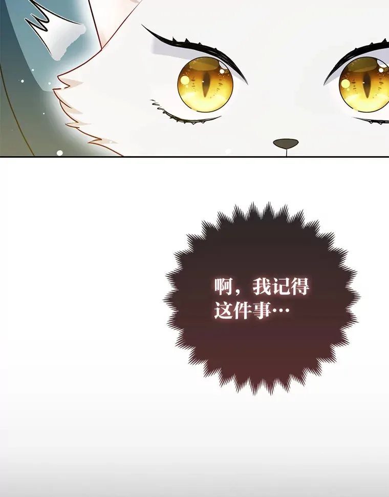 7.与帕特里克对峙15