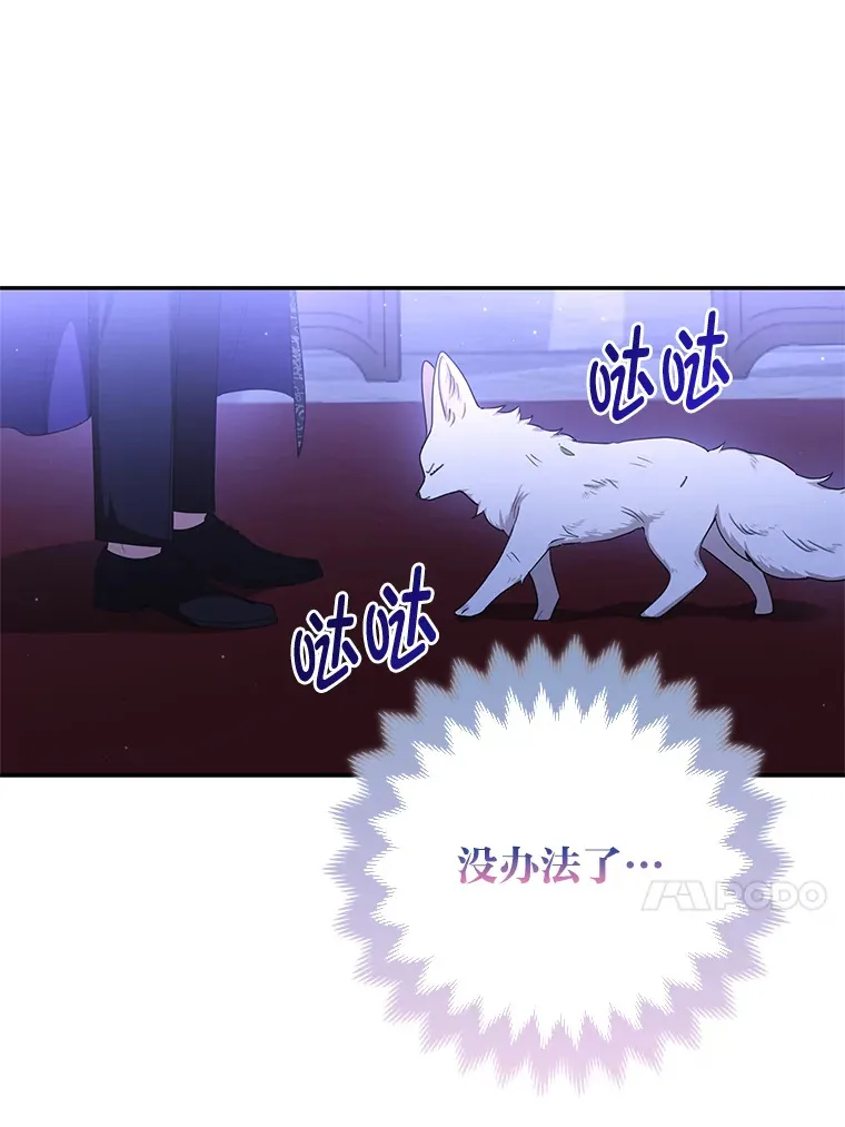 3.求收养！36