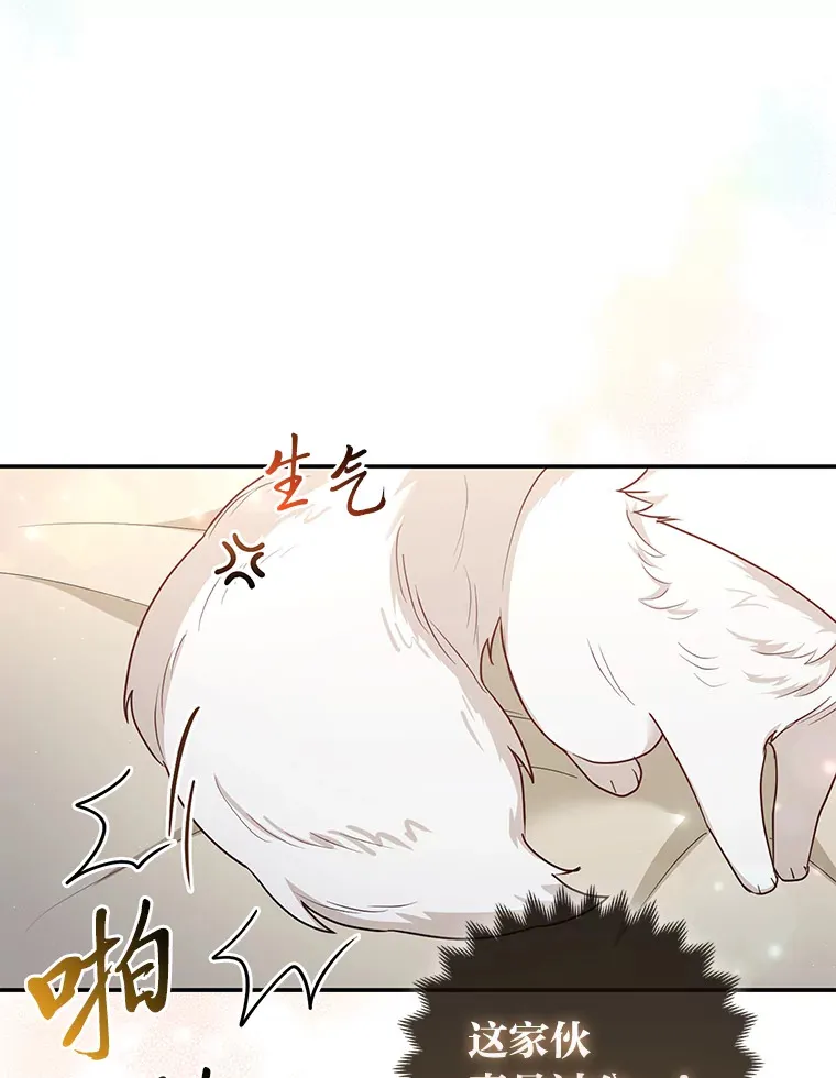 5.起名字5