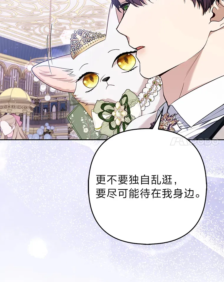 14.建国纪念日41