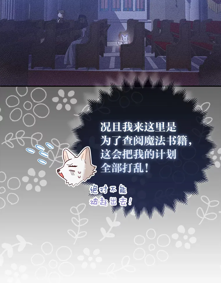 4.我的狐狸36