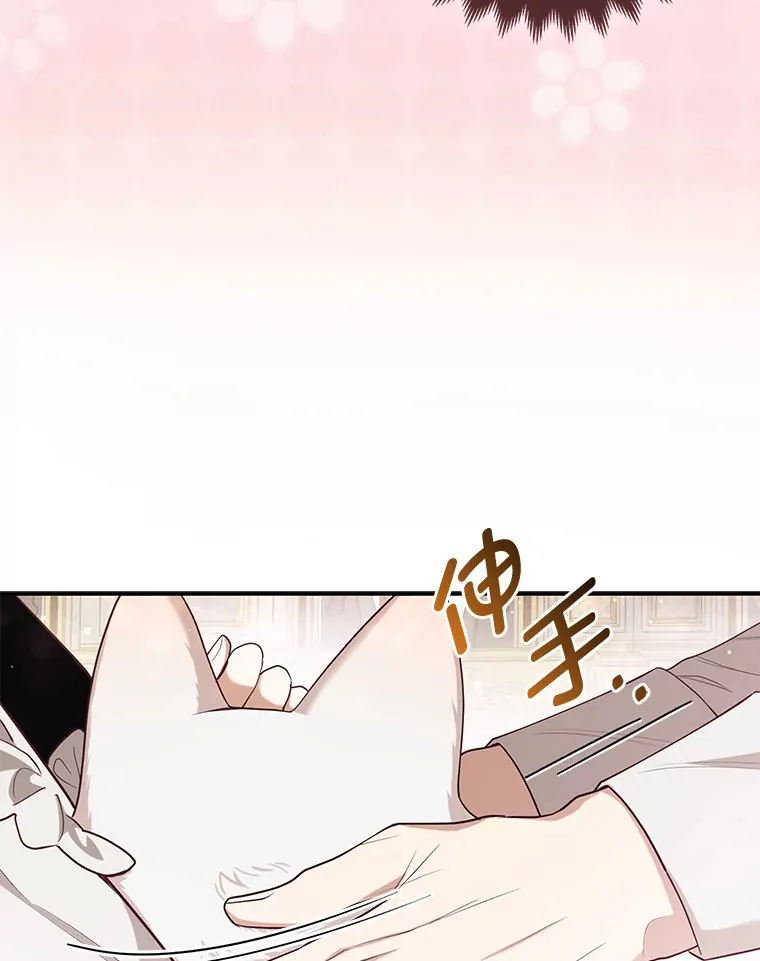4.我的狐狸71