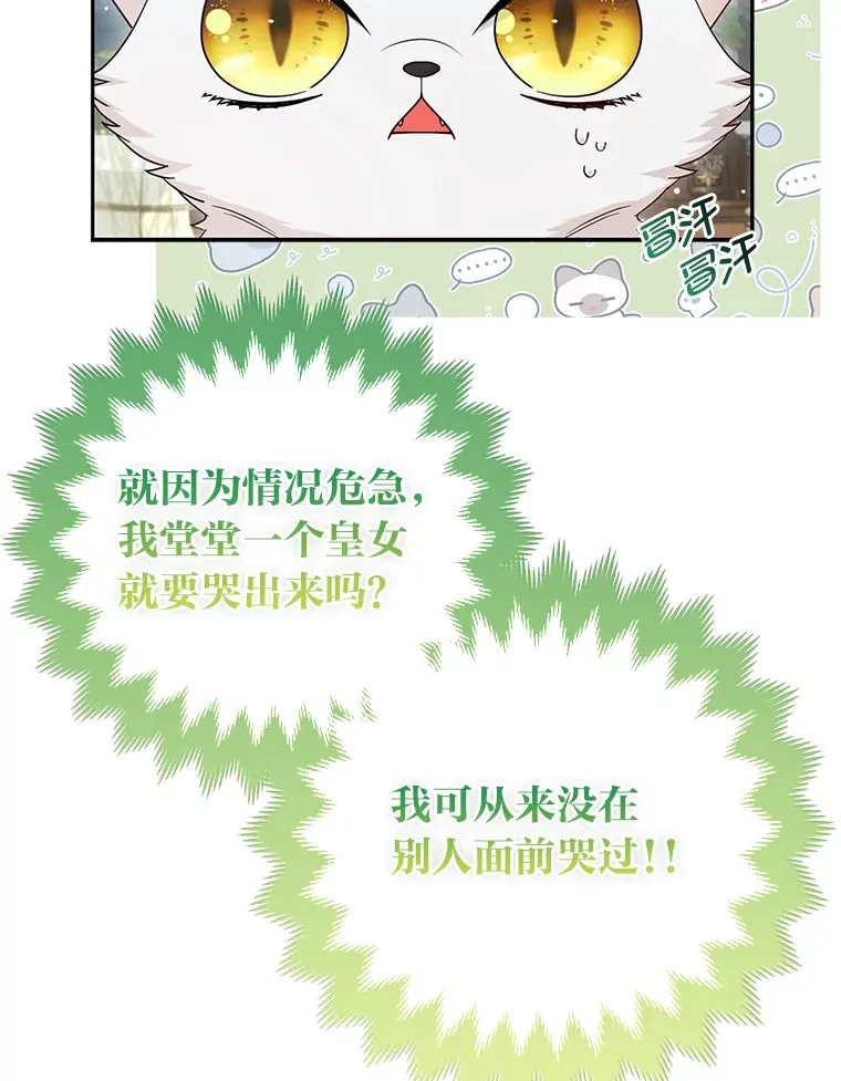 13.宴会前的准备18