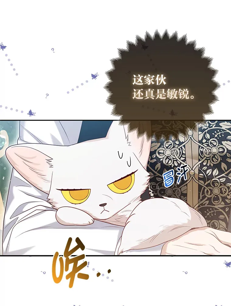12.狐狸的撒娇卖萌102