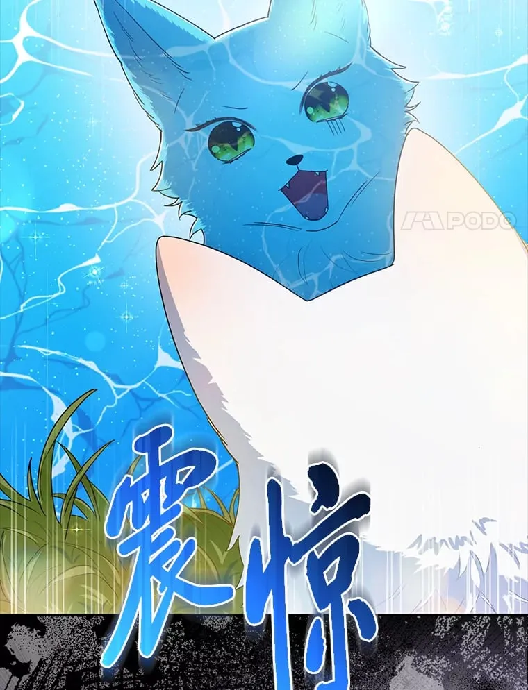2.坎坷的人生63