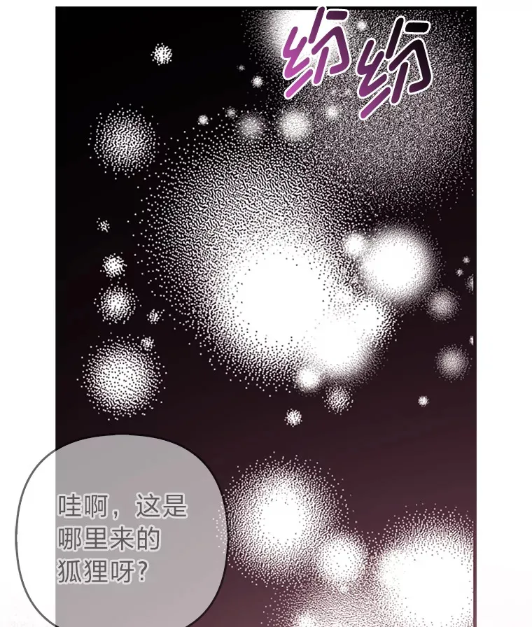4.我的狐狸16