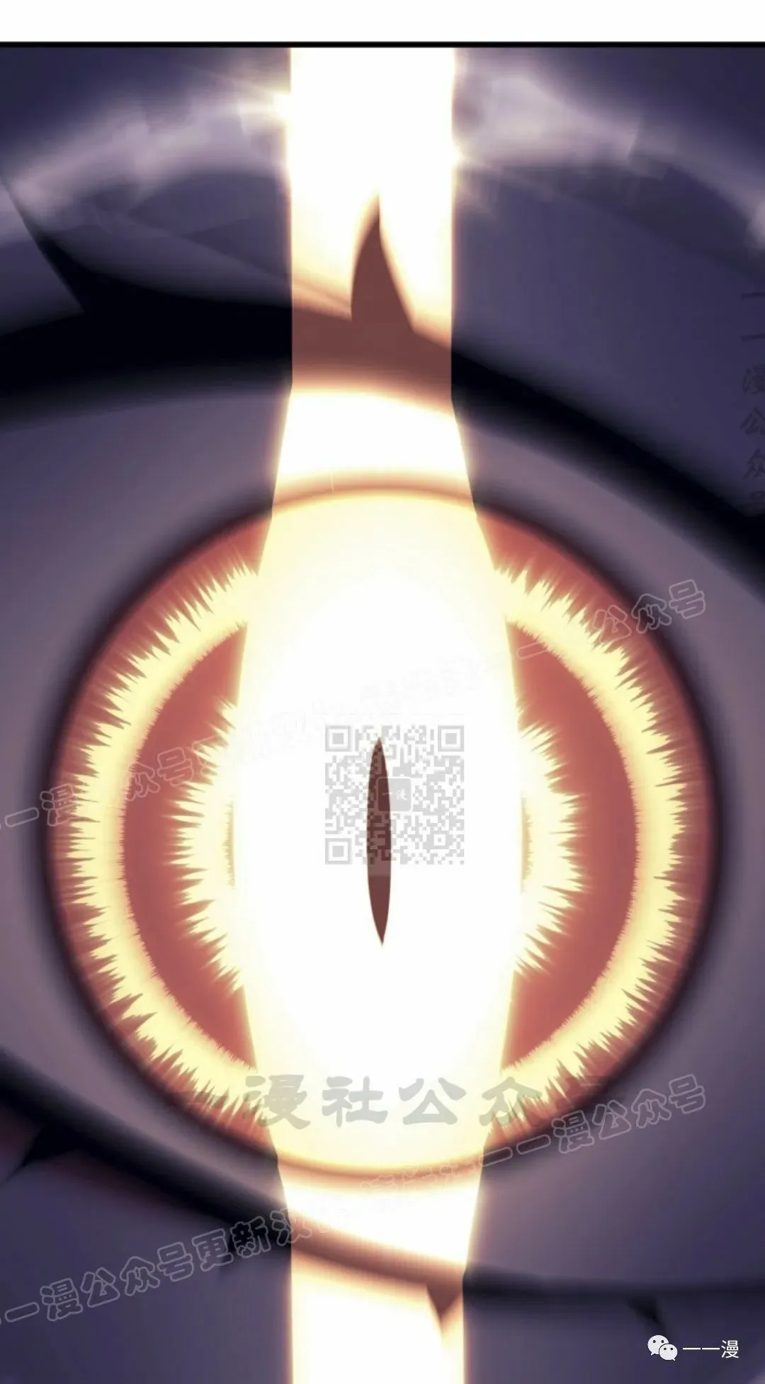 5194