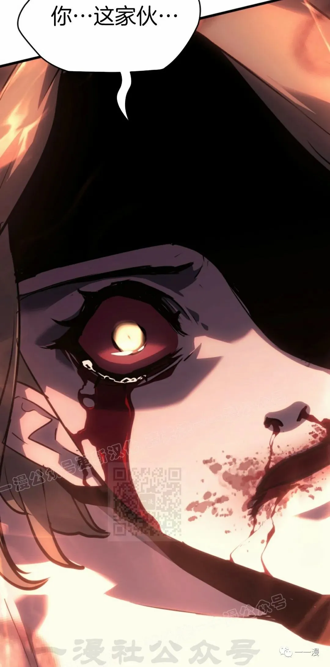 41117