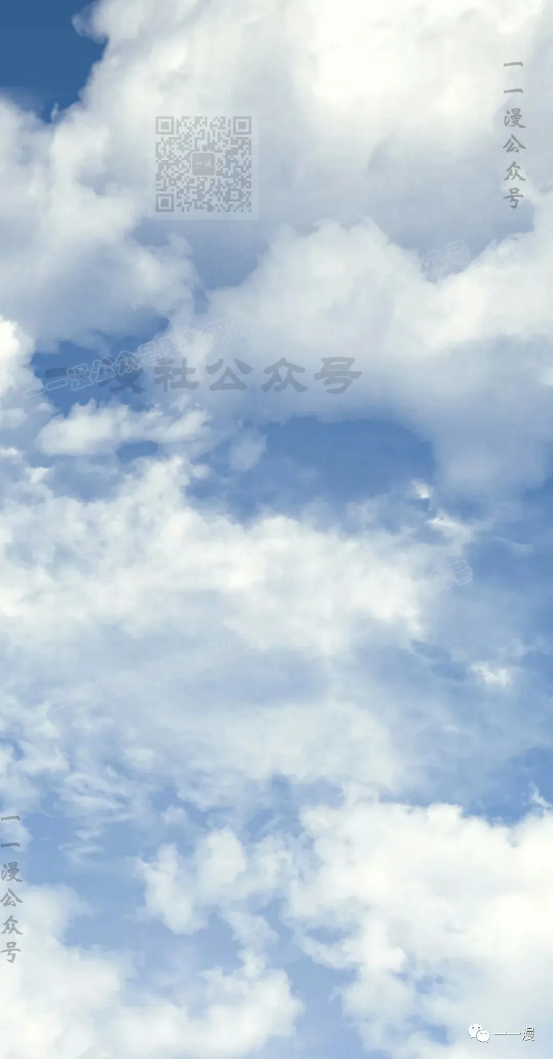 第310