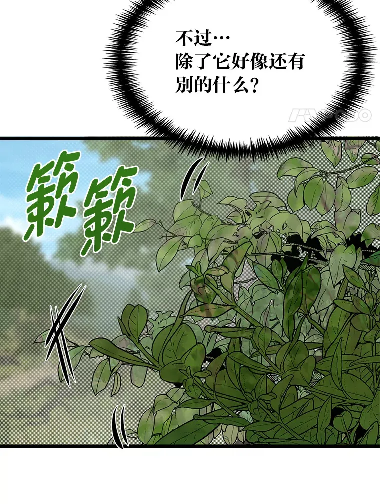 28.屠龙新星7