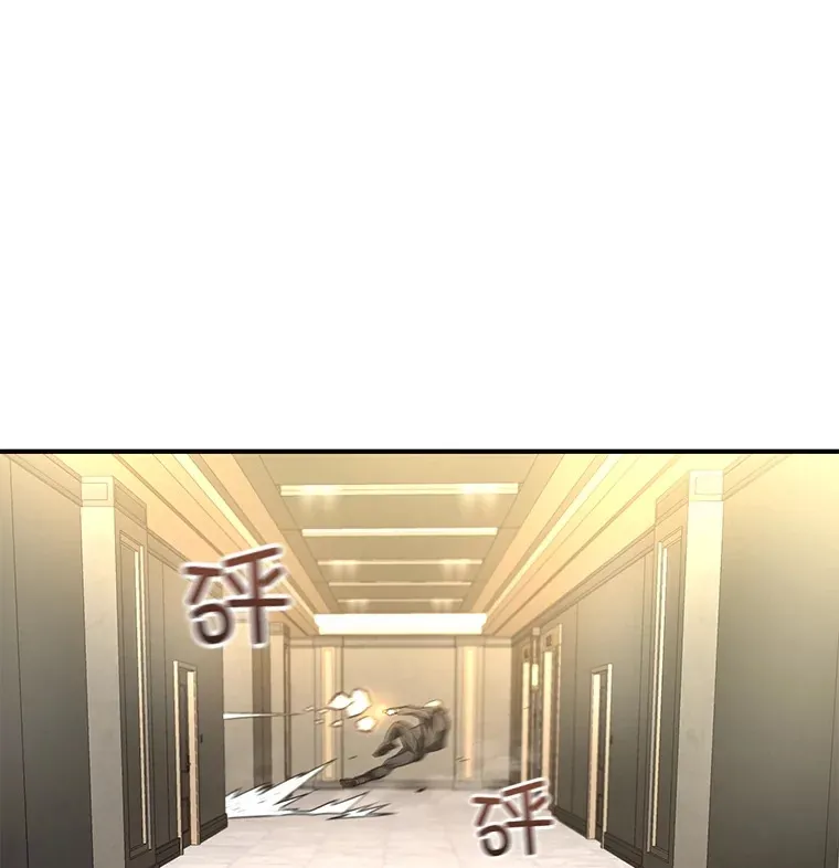 48.战火升级113