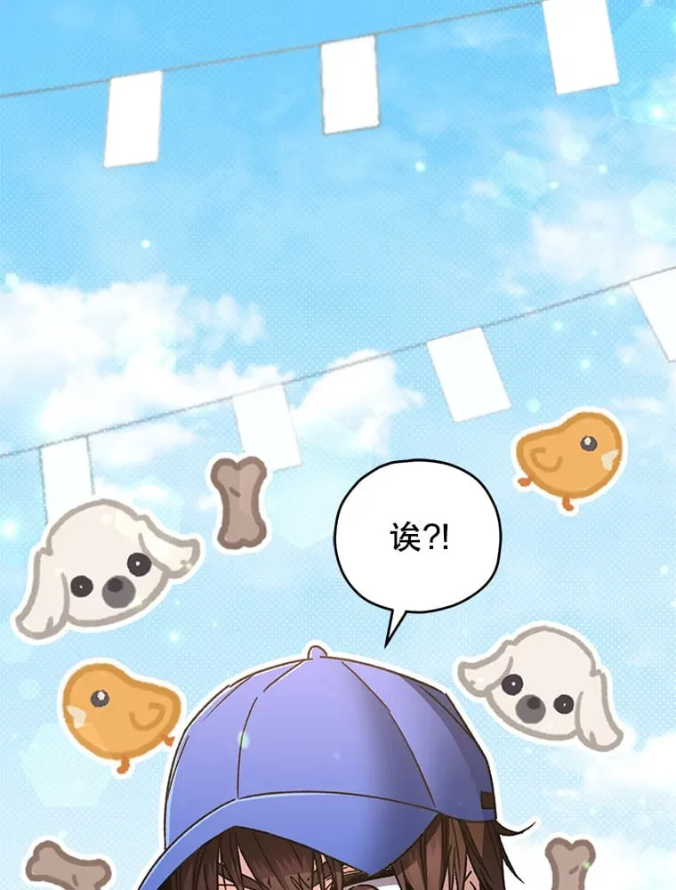 65.寻找搭档2