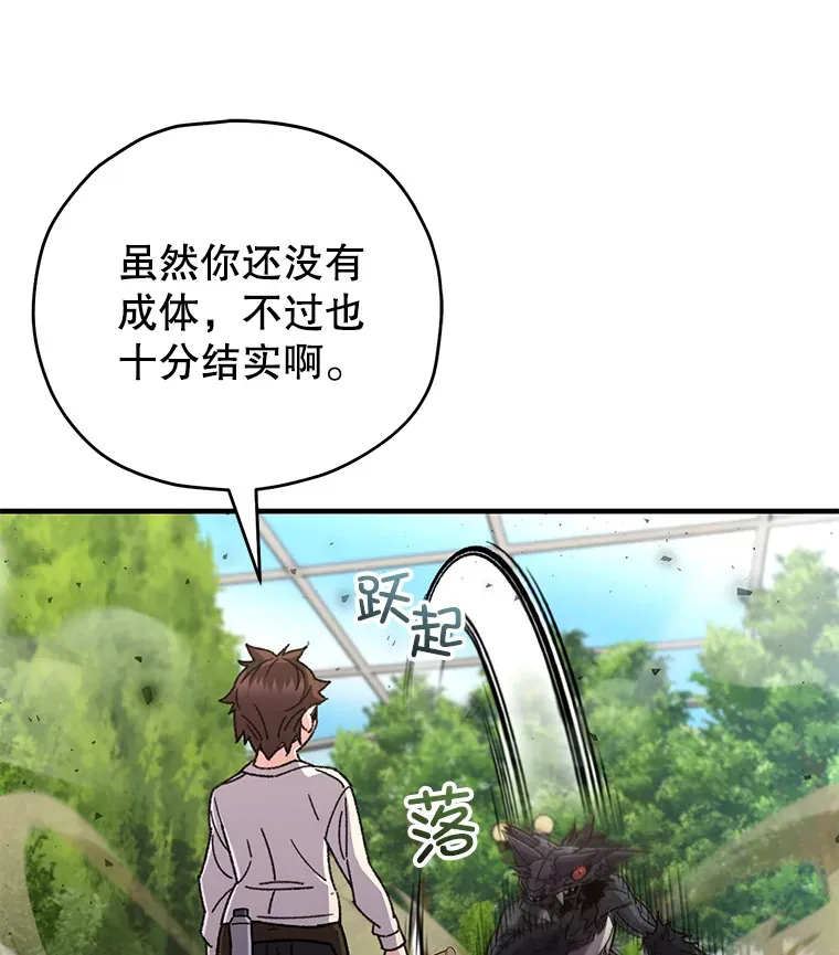 58.幼年蜥蜴王74