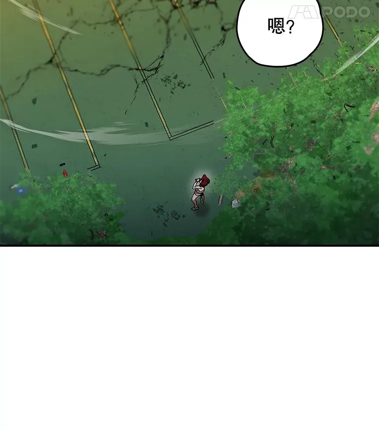 43.求助117