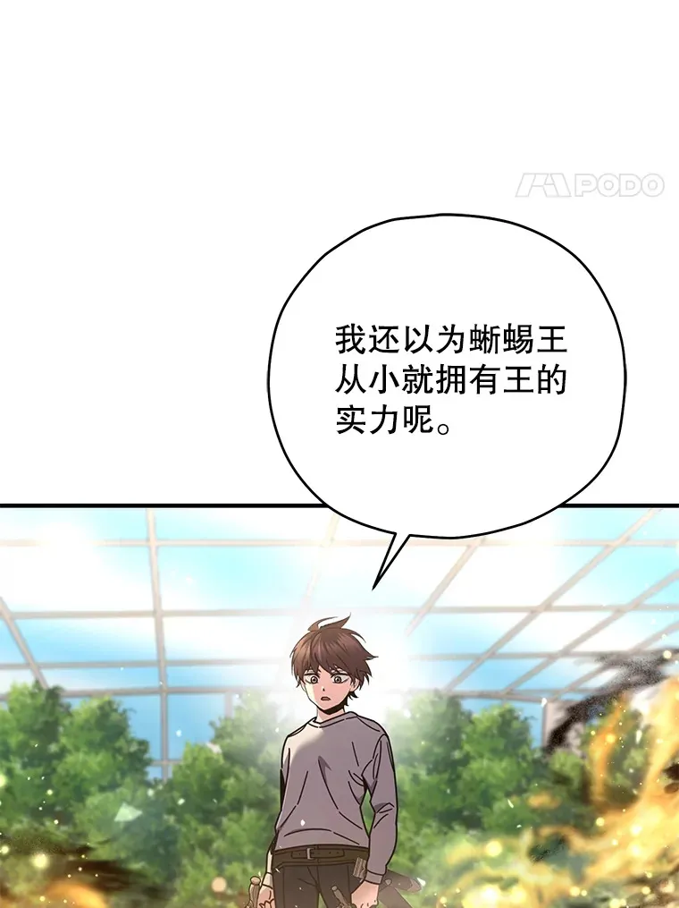 58.幼年蜥蜴王113