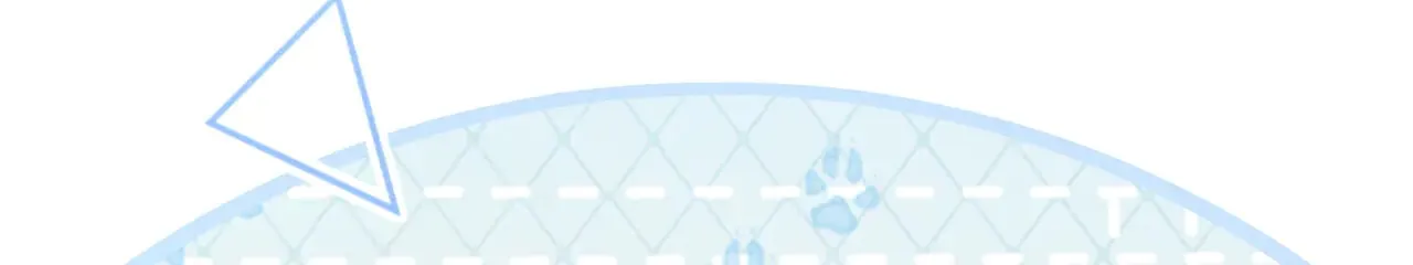 38 试图哄你20