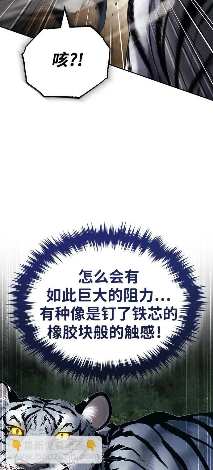 [第19话] 那不是普通的猛虎69