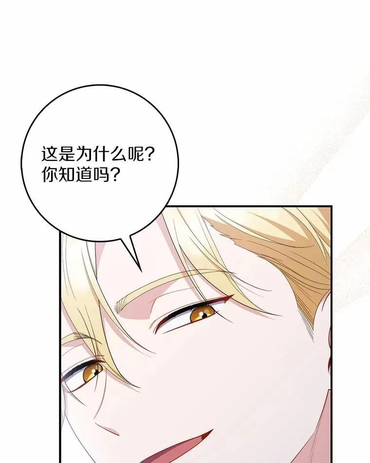 52.获胜者不是您42