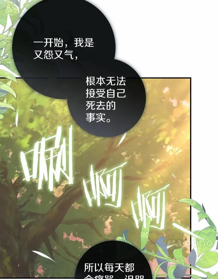 48.如愿81