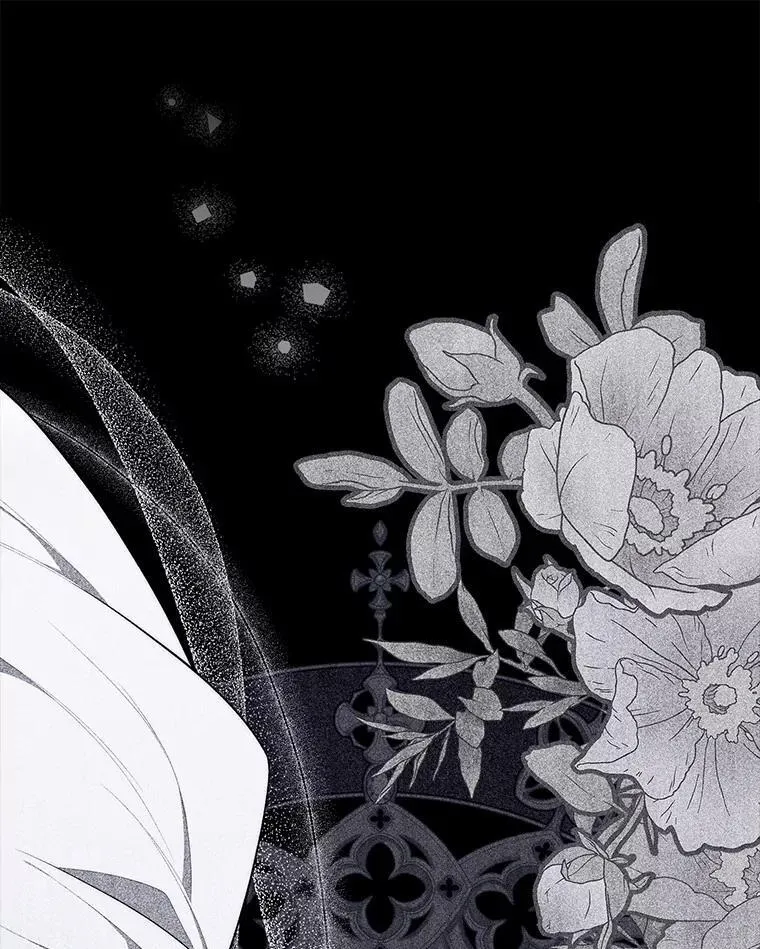 50.新的计划33
